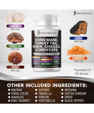 Lions Mane Supplement Cognitive Support Immune Health with Turkey Tail 20in1 Mushroom Reishi Cordyceps Chaga with Marshmallow Root - 120 Count 120 Capsules (Pack of 2) - Buy Online on GoSupps.com