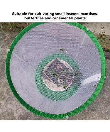 HWGING Butterfly Habitat Insect Cage Double Zipper Insect and Butterfly Life Cage Portable Insect Net 31.5 x 31.5 x 40 cm - Buy Online on GoSupps.com