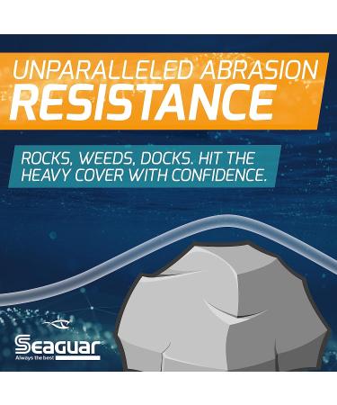 Seaguar Gold Label Fluorocarbon Fishing Line - Thin, Strong Leader - Double Structure, Low Memory - 8lb/25yd - Buy Online on GoSupps.com