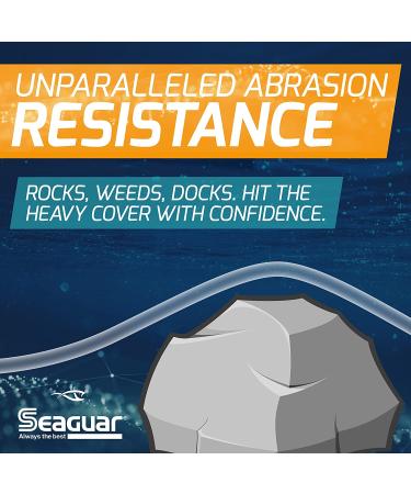 Seaguar AbrazX 15lb Clear Fluorocarbon Fishing Line - 200 yards - Buy Online on GoSupps.com