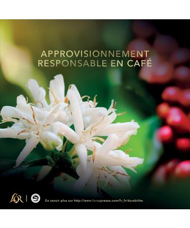 L'OR - Espresso Coffee - Vanilla - Round - Delicate - Nespresso * Compatible - 10 packs of 10 aluminum capsules - Buy Online on GoSupps.com