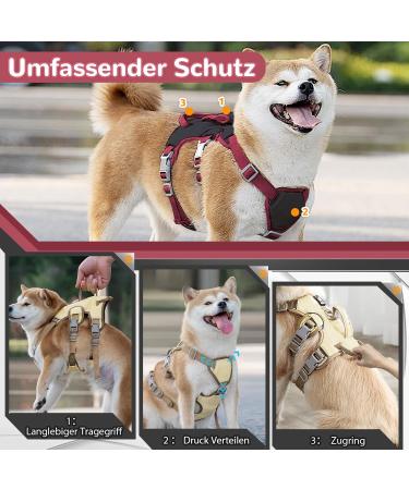 Multi-Purpose Dog Harness & Leash Set - Outbreak-Proof Anti-Train Safety Harness for Small & Medium Dogs (Black M) - Buy Online on GoSupps.com