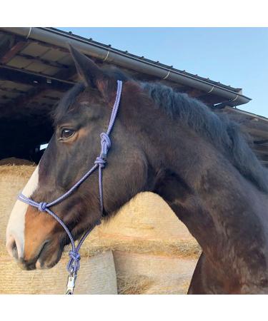 Knothalter for floor work horse- knot-halter COB optimal for free work floor work guide or loading training (Shetty (Shetland) Royal Blue-Weiss) Shetty (Shetland) Royal Blue-Weiss - Buy Online on GoSupps.com