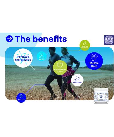 Kala Health OptiMSM  Pure Methylsulfonylmethane MSM Supplement Powder  Organic  Gluten Free  Non-GMO  Best MSM Sulfur Crystals/Powder for Kids and Adults  Hair Growth  Inflammation  Skin Health 8.81 Ounce (Pack of 1) - Buy Online on GoSupps.com