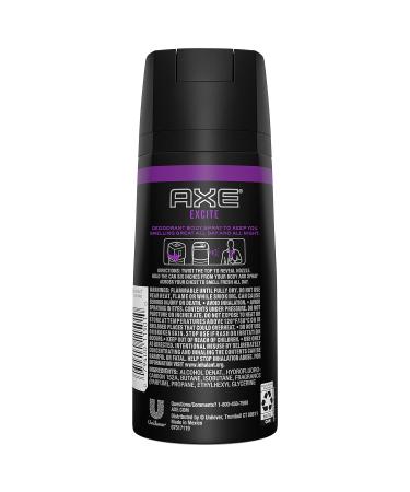 AXE Body Spray for Men Excite 4 oz (Pack of 2) - Long-lasting scent for all-day freshness - Buy Online on GoSupps.com