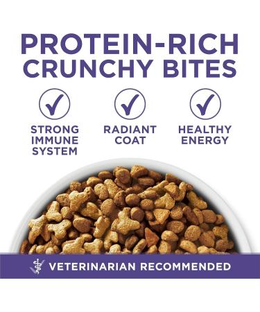 Purina ONE +Plus Dry Cat Food Hairball Formula Chicken - 3 kg Bag 3 kg (Pack of 1) - Buy Online on GoSupps.com