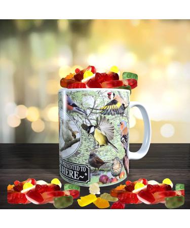 British Garden Birds Personalised Mug with Choice of Sweets Gift - Buy Online on GoSupps.com