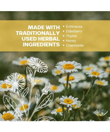 Dr. Chase Gentle Relief Night Time Cough Syrup for Toddlers 1-3 Years Old - Natural Kids' Cough Medicine - Safe & Effective Formula for 1-4 Year Olds - Pediatrician Recommended Toddler Cough Relief Night Time 1 Pack - Buy Online on GoSupps.com