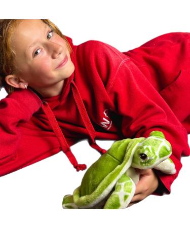 Deluxe Paws Plush Eco-Friendly Turtle Toy - 100% Recycled Materials - Buy Online on GoSupps.com