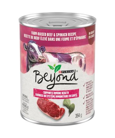 Beyond Natural Wet Dog Food Farm-Raised Beef & Spinach in Gravy - 354 g Can (12 Pack)