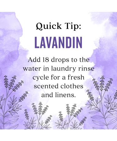 Aura Cacia Lavandin Essential Oil 0.5 fl. oz. 1 Count (Pack of 1) - Buy Online on GoSupps.com