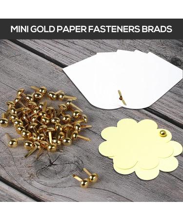 Aooba 100 PCS Mini Gold Brads for Crafting & Scrapbooking - 8x15mm Round Brass Metal Fasteners - Buy Online on GoSupps.com