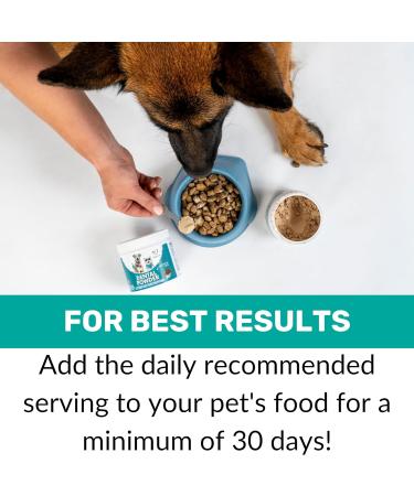 NutriPaw Dental Powder for Dogs & Cats - Clean Teeth, Healthy Gums & Fresh Breath - Plaque & Tartar Control - Fuss-Free Oral Care Solution - Lasts Up to 6 months - Buy Online on GoSupps.com