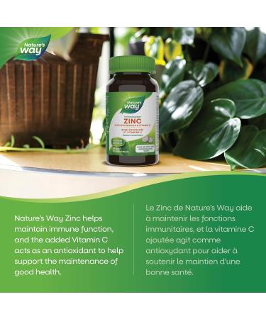 Nature's Way Zinc with Echinacea & Vitamin C / 60 Lozenges Beige 60 count (Pack of 1) - Buy Online on GoSupps.com