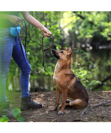 Lionto Dog Collar - Retriver Training Collar | 40 cm Length Brown 0.8 cm Thickness - International Shipping Available - Buy Online on GoSupps.com