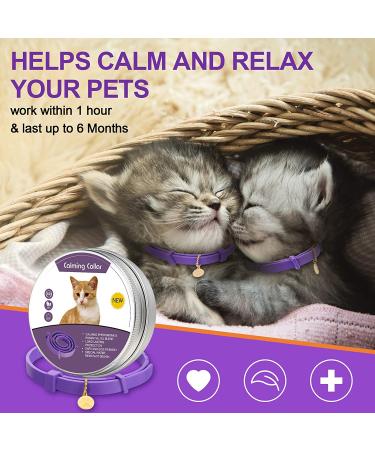4 Pcs Lavender Scent Calming Cat Collar Set | Adjustable & Relaxing for Cats and Puppies | Reduce Stress & Anxiety | Up to 15 Inches | Purple & Gold - Buy Online on GoSupps.com