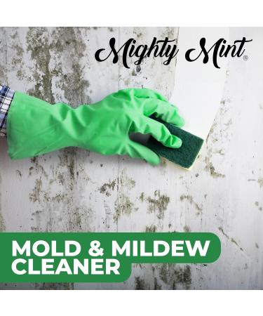 Mighty Mint Mold & Mildew Stain Remover Spray - Natural Peppermint Fast Cleaning for Bathroom Kitchen Hard Water & Outdoor Use - 16oz - Buy Online on GoSupps.com