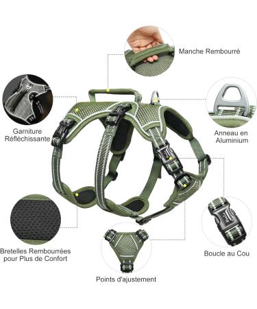 Heele Reflective Dog Dishes & Harness | Breakout Buckle Robust Handle Panic Crockery - Perfect Fit in Green - Buy Online on GoSupps.com