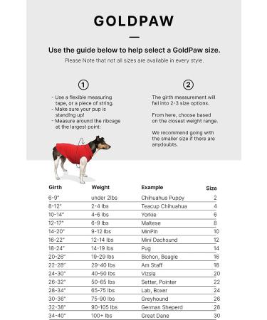 Gold Paw Sun Shield Dog Tee - Size 10 Pistachio | UV Protection, Anxiety Relief, Wound Care, Foxtail Protection, Alopecia Aid | Machine Washable, All Season | Pack of 1 - Buy Online on GoSupps.com