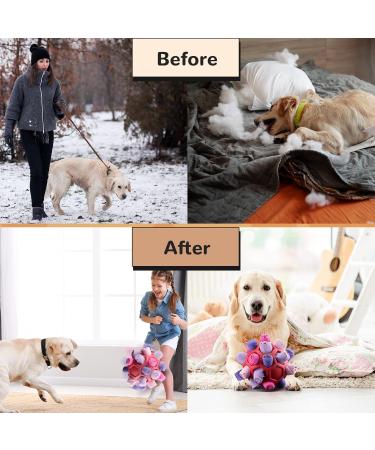 Shop Larimuer Sniffing Ball for Dogs | Interactive Portable Toy for Small to Medium Dogs | Red & Purple Sniffing Car Toy - Buy Online on GoSupps.com
