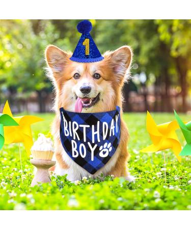 Cobee Dog Birthday Bandana Hat Number Set 10 Pieces Dog Boy Birthday Party Supplies Pet Bandana Party Bling Hat with 8 Glitter Number for Small Medium Large Dogs Blue - Buy Online on GoSupps.com