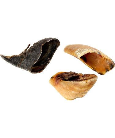 Hollings Plain Hooves Dog Treats 100% Natural & Air Dried Cow Hoof Long-Lasting Durable Chew Treats for Adult Dogs High in Protein (25 Loose) Plain 25 count (Pack of 1) - Buy Online on GoSupps.com