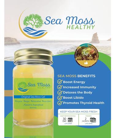 Wildcrafted Organic Irish Sea Moss Gel - Non-GMO, Natural, Vitamin & Mineral-Rich Superfood for Digestion & Immune Support (Pineapple) - Buy Online on GoSupps.com