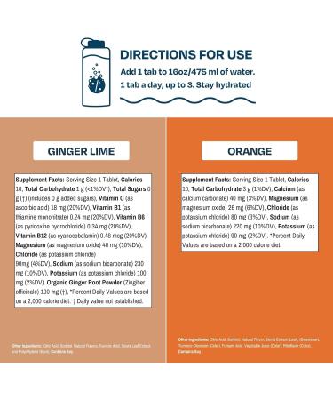 Drinklits Ginger Lime & Orange Electrolyte Sports Drink Tablets - 0g Sugar Natural Flavors 60 Servings | Summer Travel Bundle (6 Tubes - Buy Online on GoSupps.com