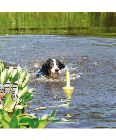 Dog Activity Mot-Aqua 29 cm Engaging Water Game for Active Dogs | International Shipping Available - Buy Online on GoSupps.com
