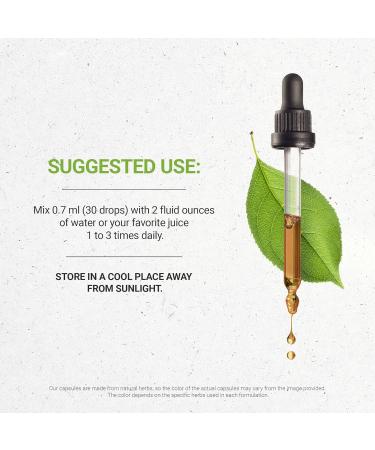 Desert Breeze Alcohol-Free, Glycerite Sage, Green Tea, Ginkgo, Cranberry, Turmeric, Peppermint. Tincture, Herbal Extract Fresh Breath Formula 2 OZ 2 Fl Oz (Pack of 1) - Buy Online on GoSupps.com