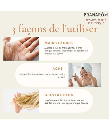 Pranar m | Rose Musqu e Bio - Huile V g tale | Huile Pr cieuse | Riche en Om gas 3 | 50 ml & Jojoba Bio Eco - Huile V g tale | Acides Gras Mono-Insatur s | 50 ml - Buy Online on GoSupps.com