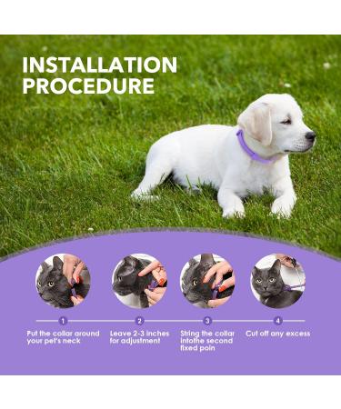 Buy 4 Calming Collars for Cats - Soothing Pheromones to Reduce Stress & Anxiety | International Shipping - Buy Online on GoSupps.com