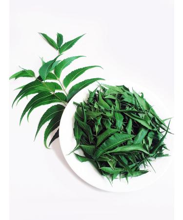 Neem Leaves 1.0 oz Premium Dried Margosa Whole Leaf for Hair Growth 28g Non-GMO Gluten Free Detox Tea No Sugar No Caffeine No Gluten Vegan Neem Leaf Harvested From 100% Naturally Grown Tree - Buy Online on GoSupps.com