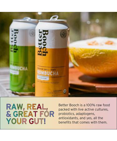 Better Booch Organic Kombucha Variety Pack - Probiotic Rich Sparkling Tea - Vegan, Gluten-Free & Low Sugar - 16 Fl Oz Cans, 9-Pack - Buy Online on GoSupps.com