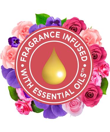 Glade PlugIns Rose & Bloom Air Freshener Refills - 5 Count Pack, 3.35 Fl Oz - Scented Essential Oils for Home & Bathroom - Buy Online on GoSupps.com