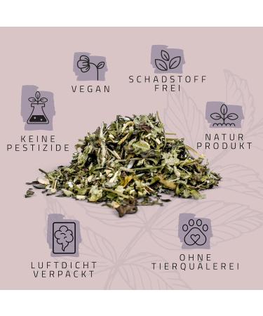 ne & no Gift Set with Natural Catnip | 3-Series Airtight Pack | Perfect Cat Toys Scratch Mats & Trees | Dried Cat Grass & Mint - Buy Online on GoSupps.com