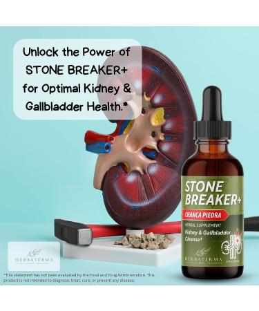 Chanca Piedra Stone Breaker Liquid Formula - Kidney & Gallbladder Cleanse with Hydrangea, Celery Seed, Marshmallow & Dandelion Root - 2fl oz - Buy Online on GoSupps.com