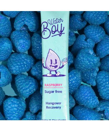 Waterboy Hangover Relief Electrolyte Powder Packets - 3170mg Electrolytes - Dehydration & Hangxiety Relief - Hangover Kit Essential - Blue Raspberry - 10 Count - Buy Online on GoSupps.com