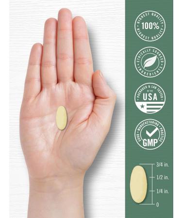 Carlyle KSM-66 Ashwagandha 600mg | 120 Caplets | Extract Supplement with L-Theanine | Vegan Non-GMO Gluten Free 120 Count (Pack of 1) - Buy Online on GoSupps.com