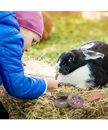 Erkoon 24-Piece Rabbit & Small Pet Toys Set | Dental Care Timothy Hay Sticks Carrots & Rose Grass Cake - Ideal for Rabbits Guinea Pigs Hamsters & Chinchillas - Buy Online on GoSupps.com