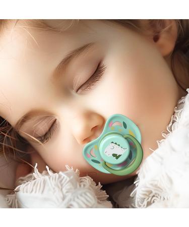 Silicone pacifier Goard Baby Schnuller 6-18 months with replacement pacifier nipple and silicone pacifier clips tooth-friendly pacifier for babies dinosaurs baby pacifier with lid green