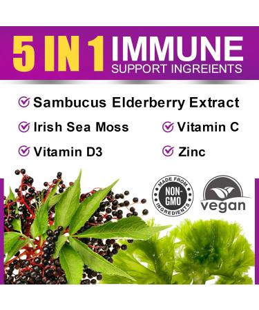 B BEWORTHS Elderberry & Sea Moss Gummies with Zinc, Vitamin C, D3 for Adults & Kids - Apple Cider Vinegar & Sea Moss Gummy with Vitamin B9, B12 - Buy Online on GoSupps.com