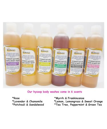 BIBLE N Beautyoils Cleanse Me With Hyssop Natural Hair and Body Wash Organic Hyssop Infused Shampoo and Body Wash for Nourishing and Refreshing Hair & Body Cleansing (Myrrh and Frankincense) - Buy Online on GoSupps.com