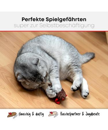 St.Pawly Mint Mice - Natural Cat Toys with Catnip & Matatabi Stick | Ideal Cat Mouse Toy for Playful Cats - Buy Online on GoSupps.com