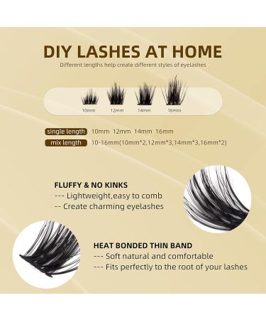 D Curl 120 Clusters Wide Stem Cluster Lashes 10-16mm Length - DIY Eyelash Extensions for Soft Fluffy Look - 10mm-16mm Mix - Buy Online on GoSupps.com