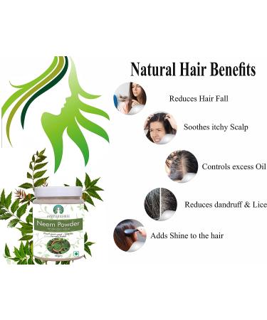 AYURVEDASHREE Neem Leaf Powder 100 Gm | Wild Crafted Azadirachta Indica Supplement | Skin, Hair, and Detox Support | Non GMO - Gluten Free - Vegan - Buy Online on GoSupps.com
