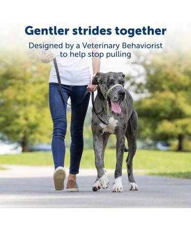 PetSafe Gentle Guide Collar with Training DVD - Royal Blue - Small (Up to 25 Lbs) - International Shipping - Buy Online on GoSupps.com