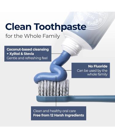 1950 Mineral Salt Blue Toothpaste - Jeju Lava Seawater Salt with Hydroxyapatite for Sensitive Teeth Gum Care Whitening Reminaeralizing Green Tea Freshness Fluoride Free SLS Free (3.5 oz) - Buy Online on GoSupps.com