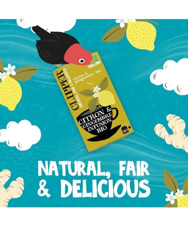 CLIPPER - Organic Infusion - Lemon & Ginger - 20 Organic Infusion Sachets - 1 pack - Buy Online on GoSupps.com
