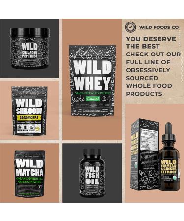 Organic Madagascar Vanilla Bean Powder - 1oz | Pure All Natural Flavor for Baking, Cooking, Coffee & Smoothies - Gluten Free, Non-GMO Superfood - Buy Online on GoSupps.com